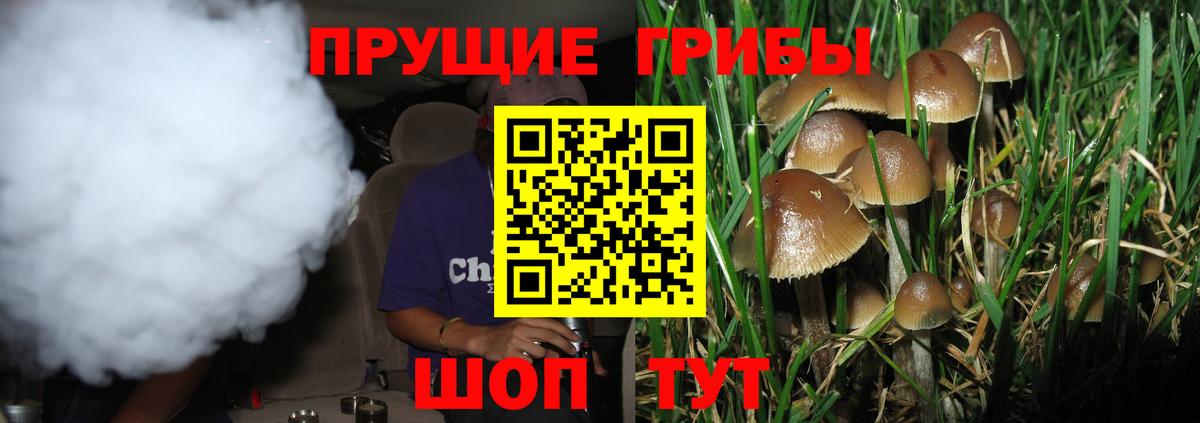 Псилоцибиновые грибы MAGIC MUSHROOMS  Вход с VPN  как найти закладки  Малоярославец 