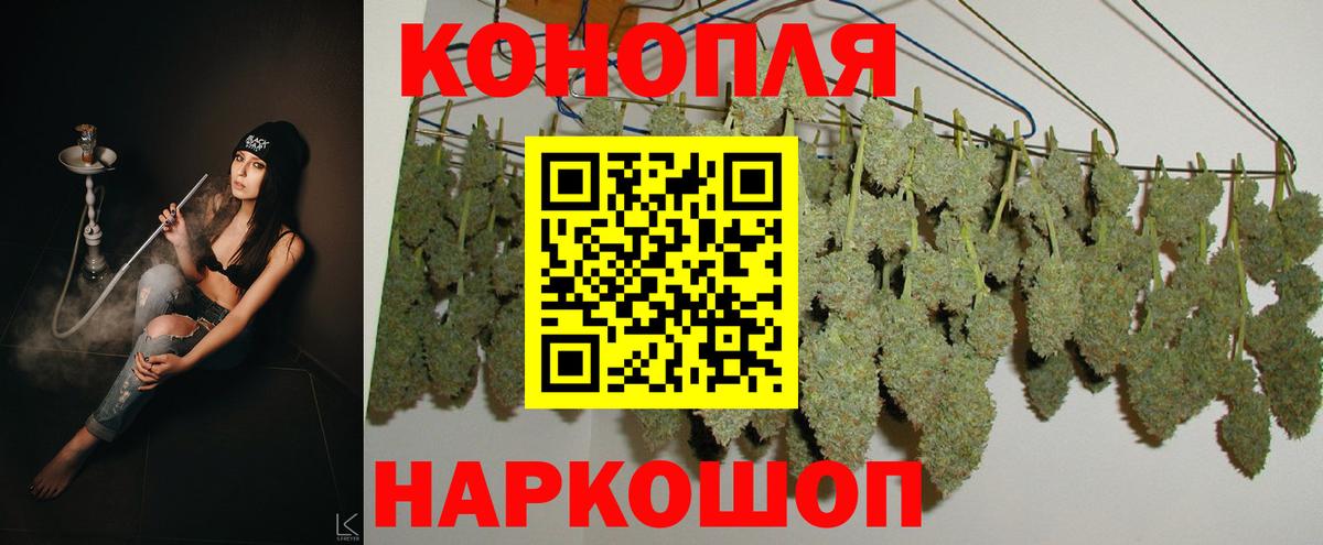 Каннабис планчик Малоярославец